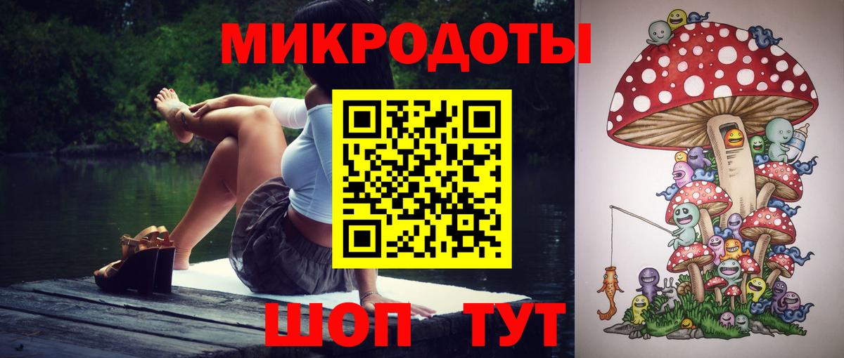 Псилоцибиновые грибы Psilocybe  Вход с VPN  Псилоцибиновые грибы Cubensis  Зеленодольск 